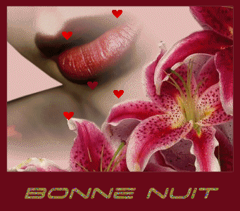 bonne nuit orchidée